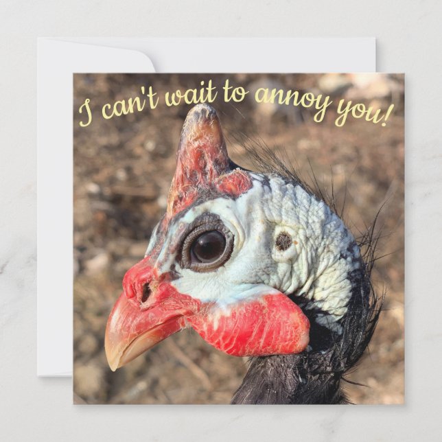 Guinea Fowl (Anverso)