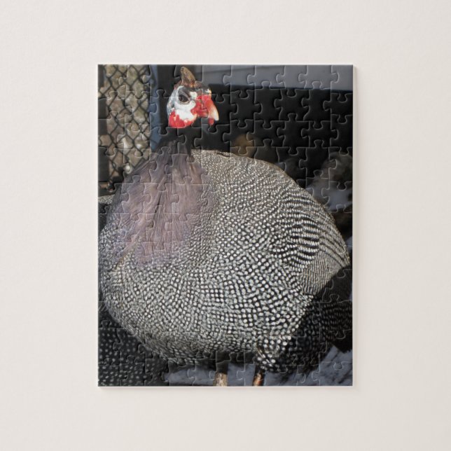 Guinea Hen Jigsaw rompecabezas (Vertical)