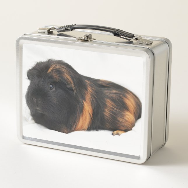 Guinea Pig (Anverso)