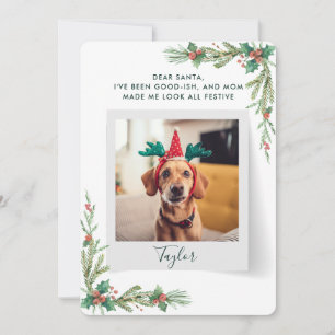Guión de foto de mascota perro divertido Navidad
