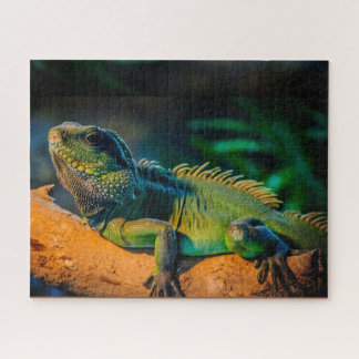 Guirnalda Iguana Rompecabezas