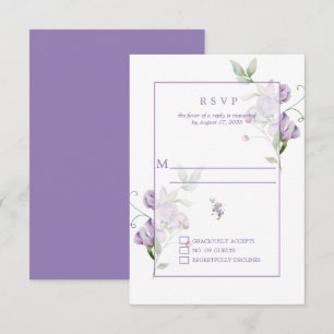Guisantes de olor lavanda RSVP