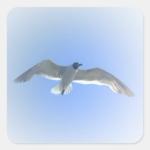 Gull en el vuelo 2 Pegatina