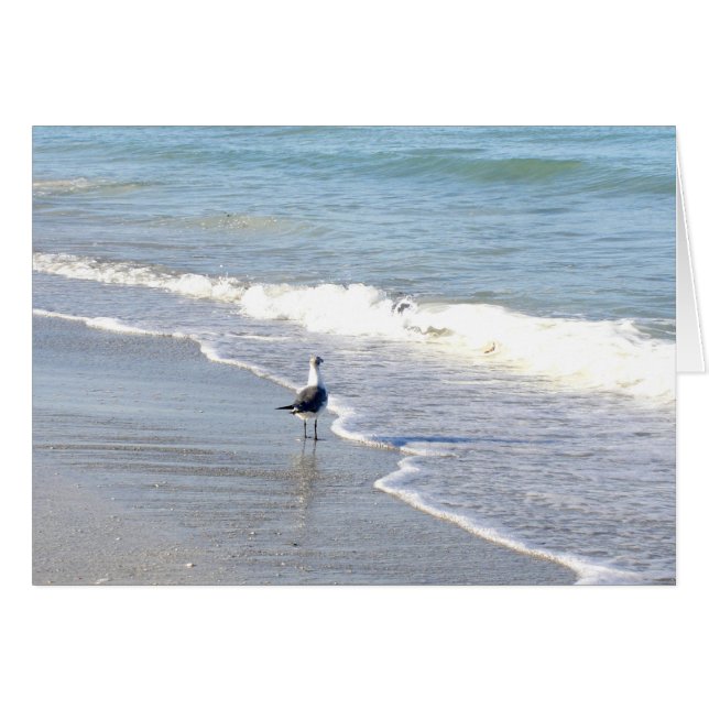 Gull in the Surf (Anverso (Horizontal))