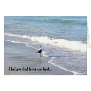 Gull in the Surf "cree"