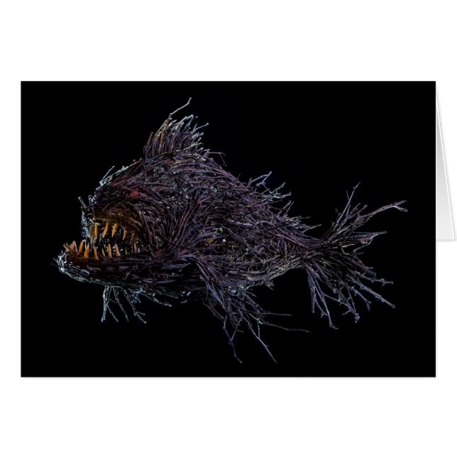 Gully Grouper (Anverso (Horizontal))