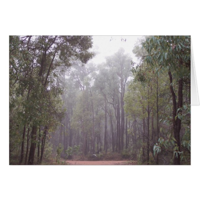 Gum Trees (Anverso (Horizontal))