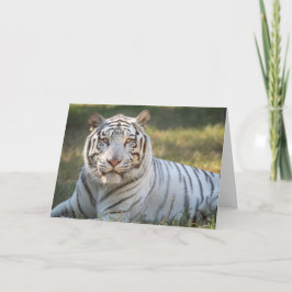 Gus - tarjeta - saludo de personalizable