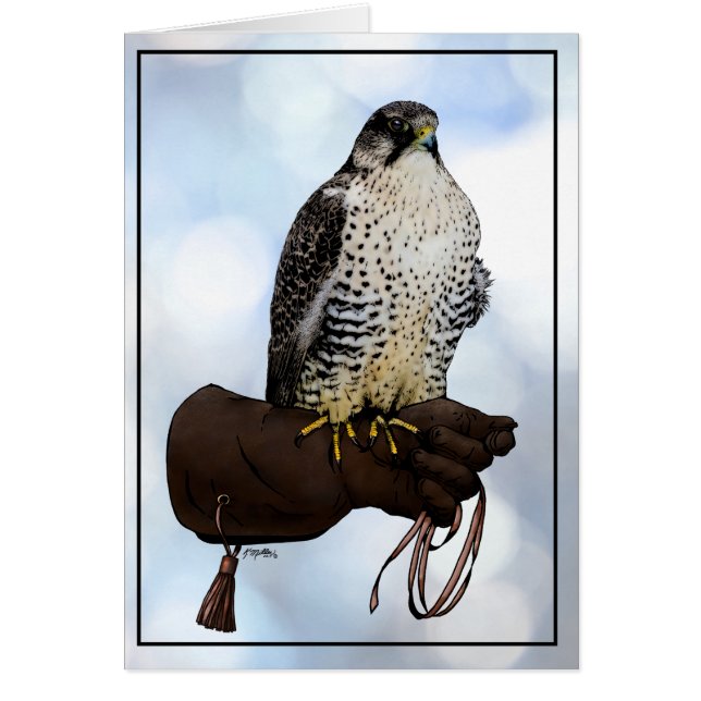 Gyrfalcon en Glove (Frente)