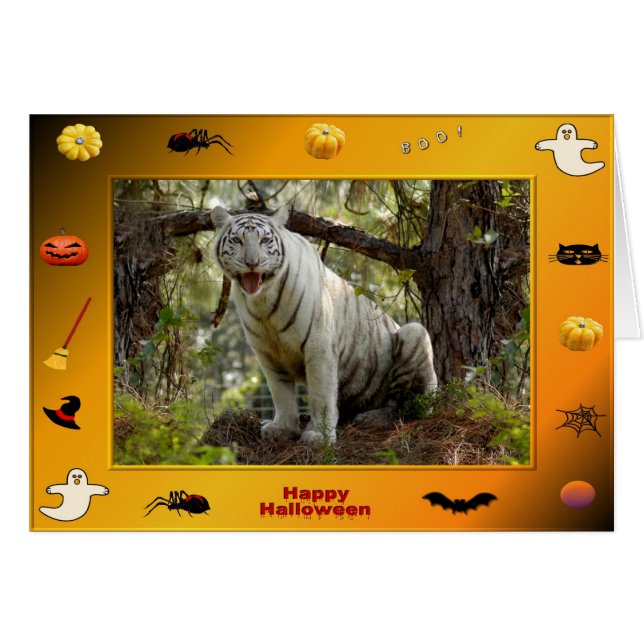 h-218-zabu (Anverso (Horizontal))