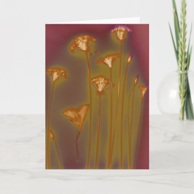 H.A.S. Tarjeta de felicitación de los artes, (Anverso)