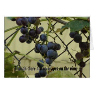 Habakkuk 3; 17,18, uvas