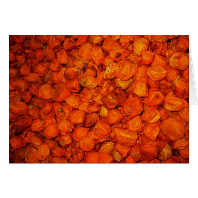 Habaneros, habaneros y más habaneros (Anverso (Horizontal))