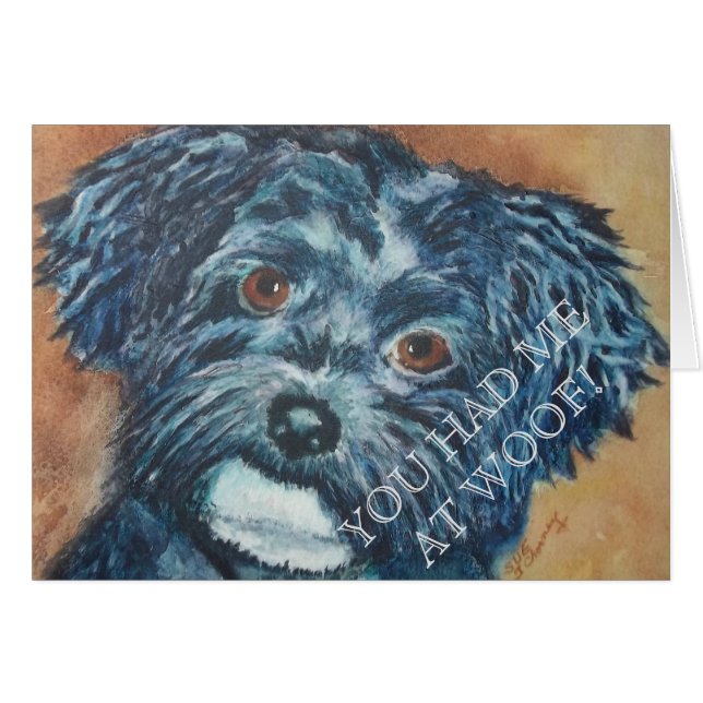 HABANÉS NEGRO CUTIE (Anverso (Horizontal))