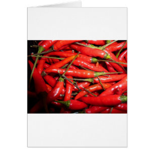habla hot chili