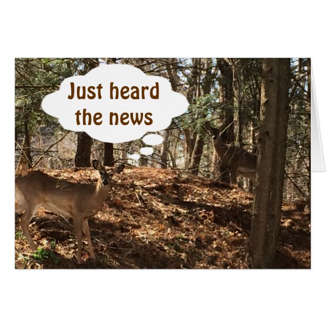 HABLANDO CON DEER COUPLE DICE "ERES ***21*** (Anverso (Horizontal))