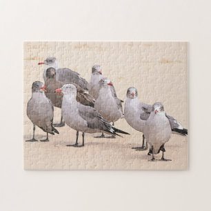 Hablando en un rompecabezas de aves marinas