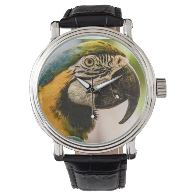 Hablar como un reloj pirata (Anverso)