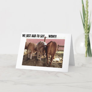 HABLAR VACAS HACE UNA GRAN TARJETA DE CUMPLEAÑOS D