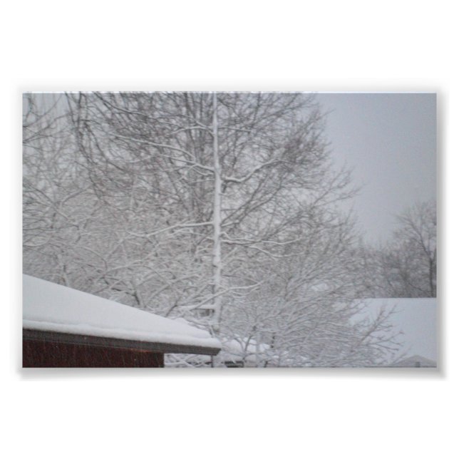 hacer sus propias fotos (Frente)