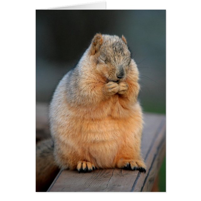 Hacer un deseo (Frente)