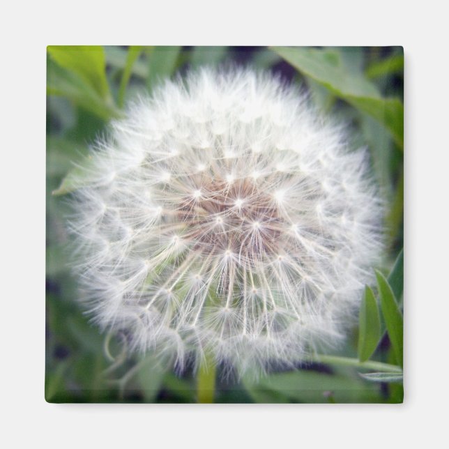 Hacer un imán de deseo (Frente)