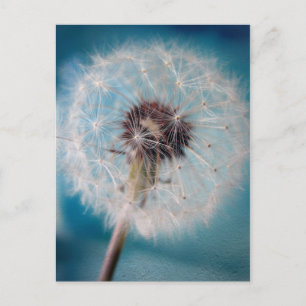 Hacer una postal de deseo