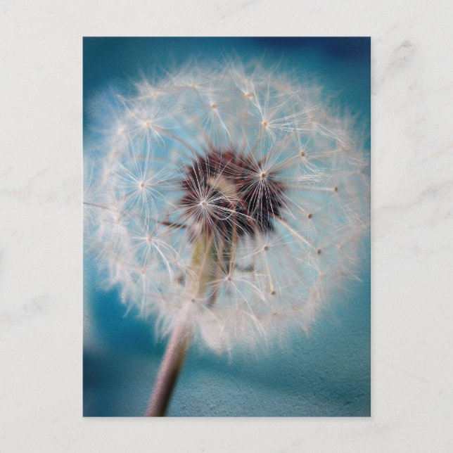 Hacer una postal de deseo (Anverso)