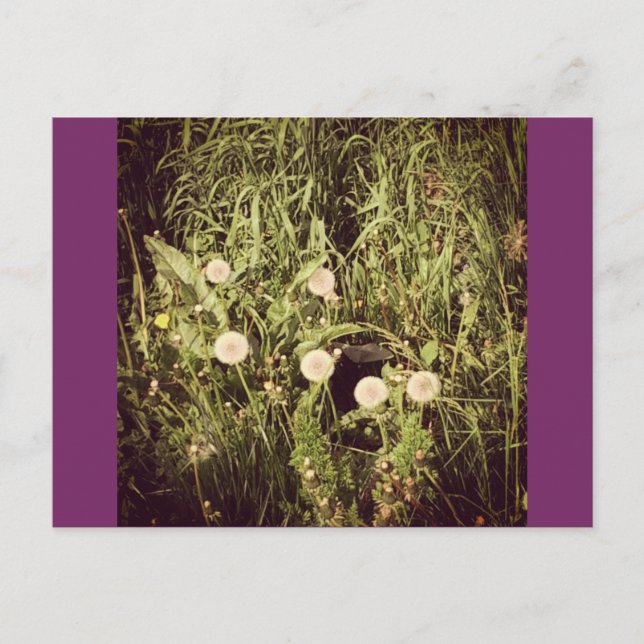 Hacer una postal de deseo (Anverso)