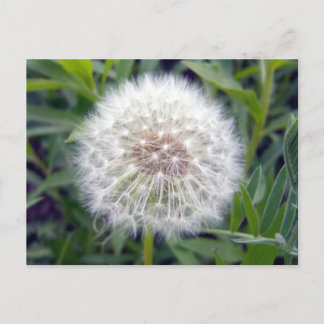 Hacer una postal de deseo