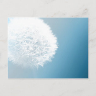 Hacer una postal de Wish Dandelion