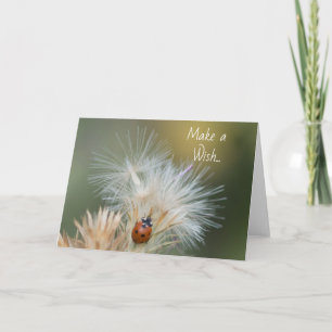 Hacer una tarjeta Wish