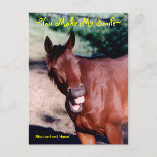 Hacerme sonreír tarjeta postal de caballo