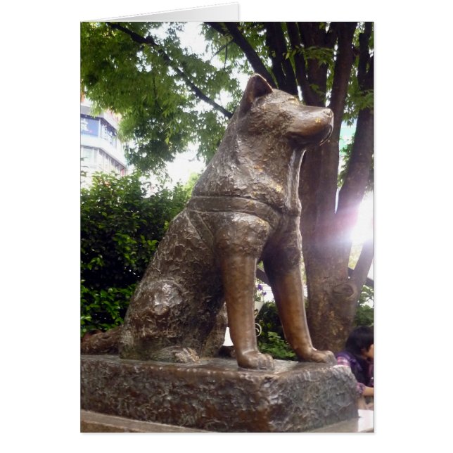 hachikō (Frente)