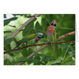 Hacia fuera en un miembro