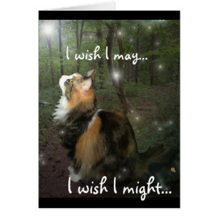 Haciendo un gato deseoso