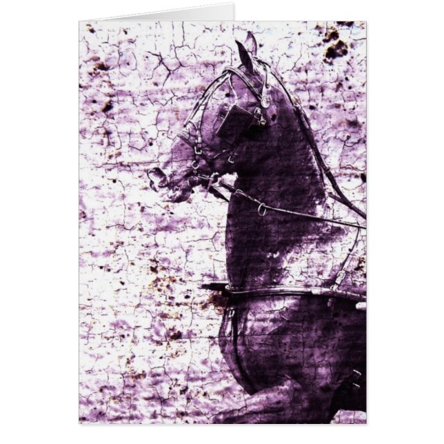 Hackey Crackers Digital Art (Frente)