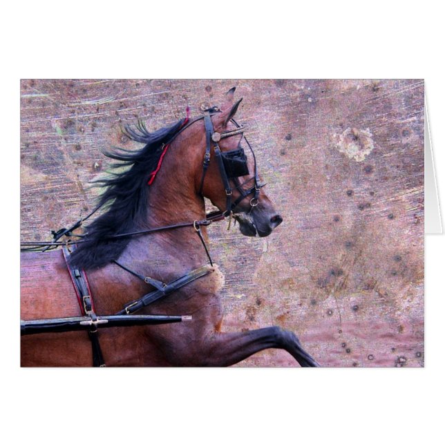 Hackney Grunge (Anverso (Horizontal))