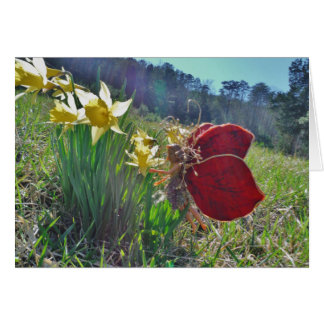 hada de ala roja y daffodis