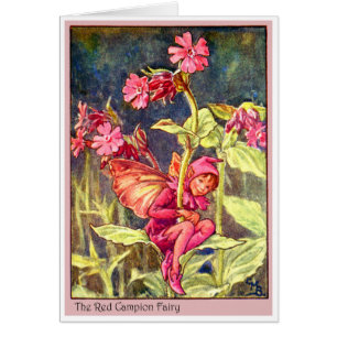 Hada de Campion Rojo