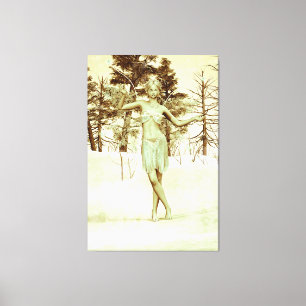Hada de Invierno en Arte de Fantasía de Bosque Nev