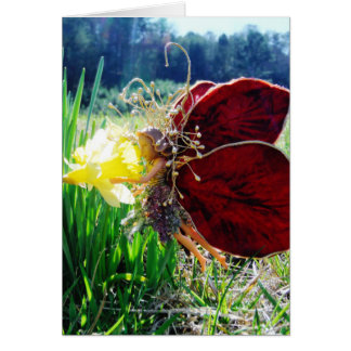 Hadas en los Daffodils