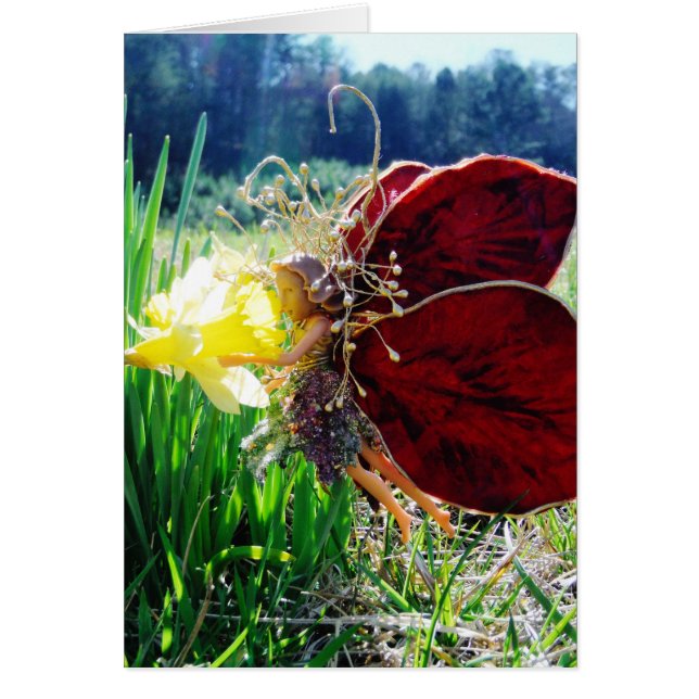 Hadas en los Daffodils (Frente)