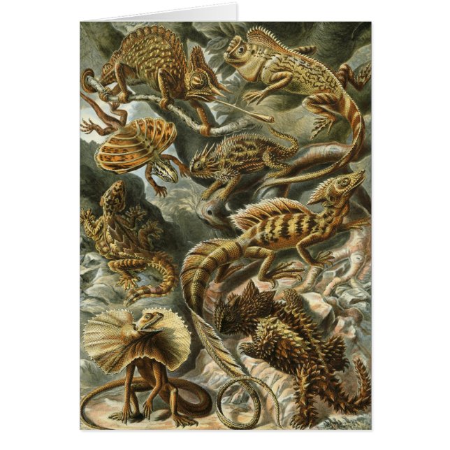 Haeckel Reptiles (Frente)
