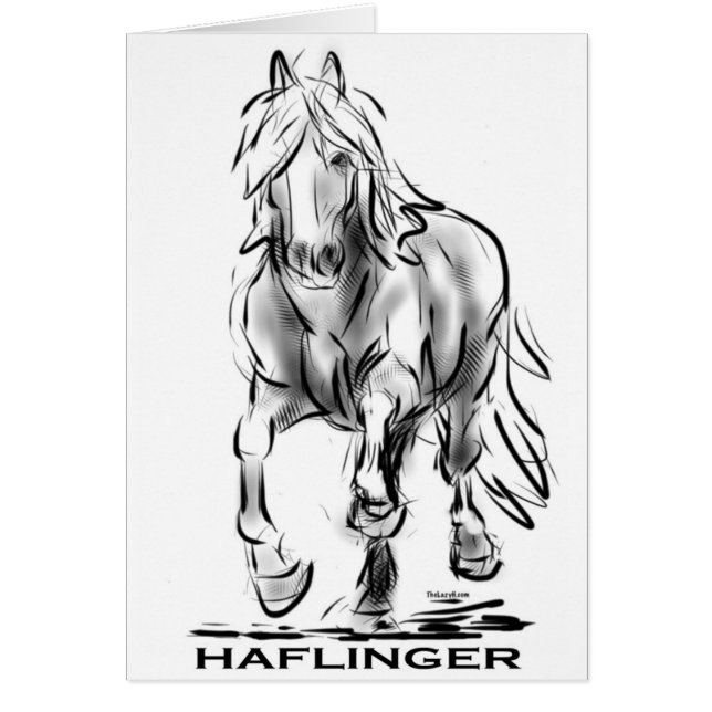Haflinger (Frente)