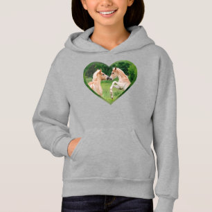 Haflinger Caballos Cute Graciosos Tontos Amigos Co