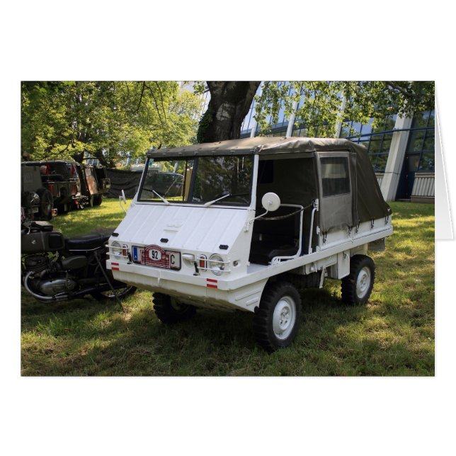 Haflinger de puch blanco (Anverso (Horizontal))