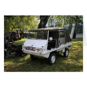 Haflinger de puch blanco