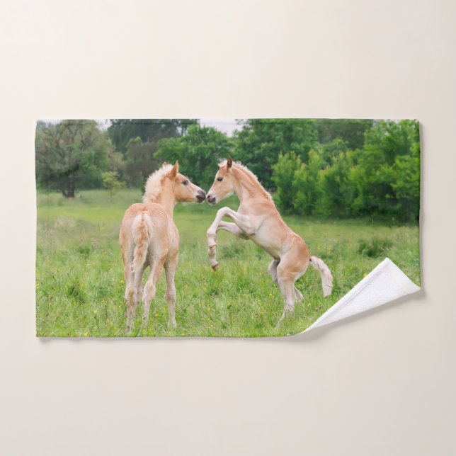 Haflinger Horses Cute Foals Amigos crían foto (Toalla de mano)