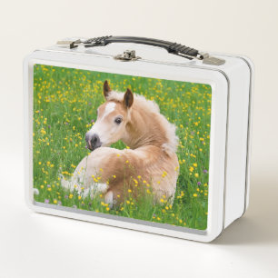 Haflinger Pony, un guiso de caballo adornado con u